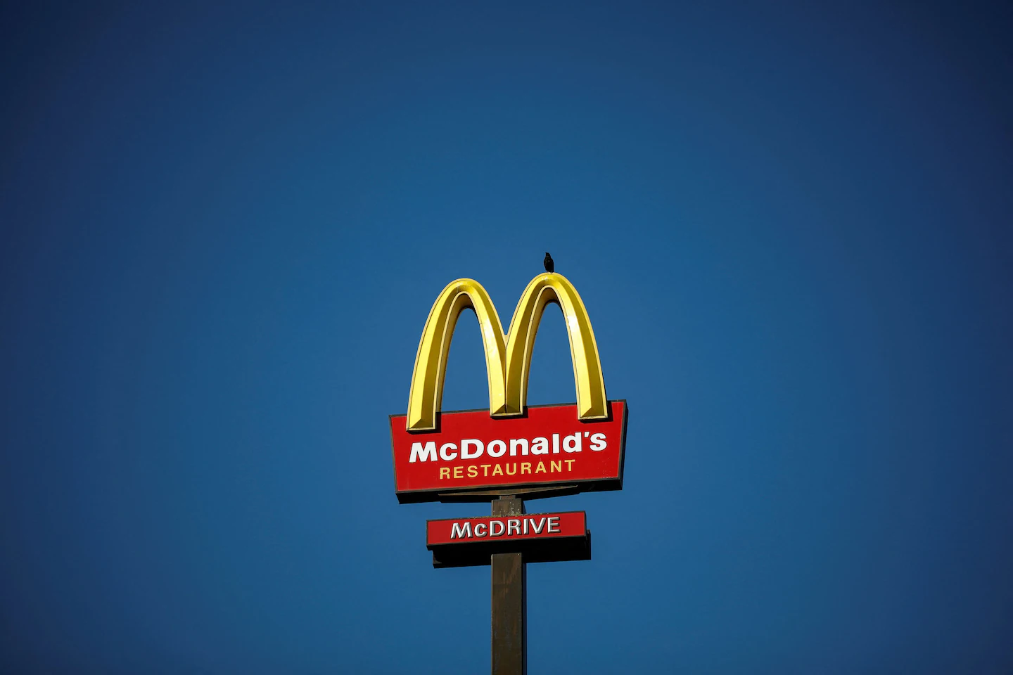 Carl Icahn inizia una lotta per procura con McDonald's per il benessere dei maiali

